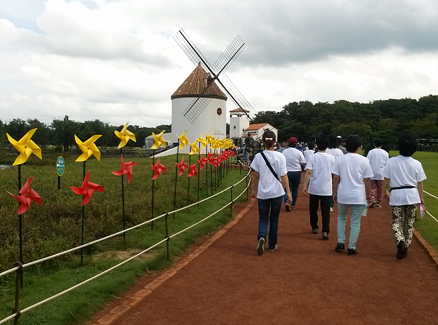 233 2013-09-12 - 4.jpg